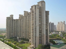 DLF Hamilton Court Sector - 26 A